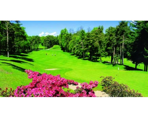 Desk Calendar DC22